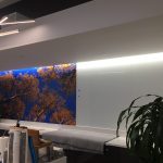 Wall Mural  ation