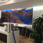 Wall Mural Custom  